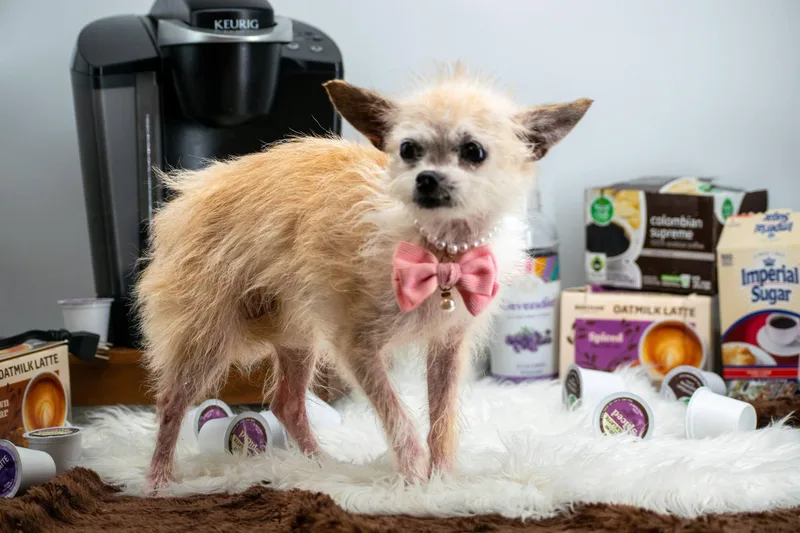 Keurig and KRUPS thumbnail 2
