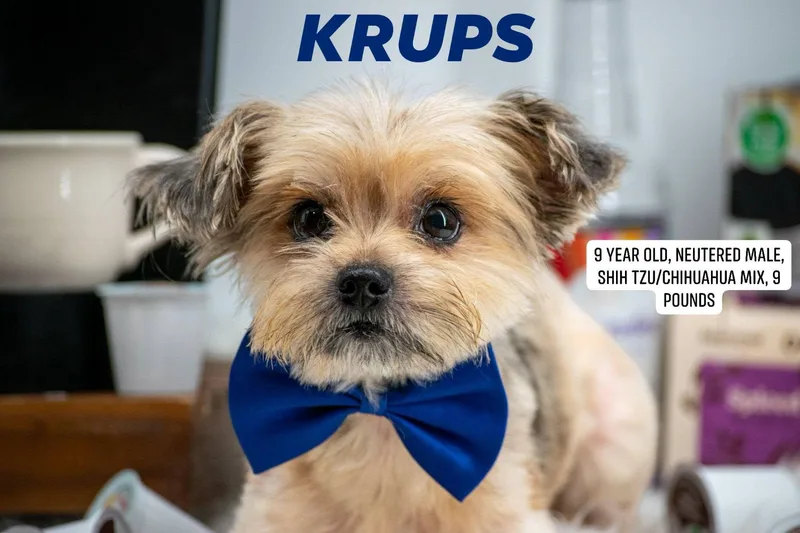 Keurig and KRUPS thumbnail 4