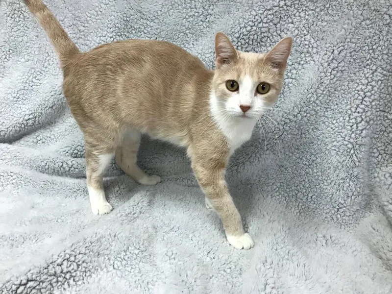 Mzia Aka Mezzy thumbnail 2