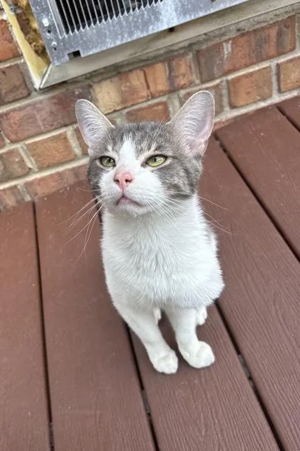 Frederico