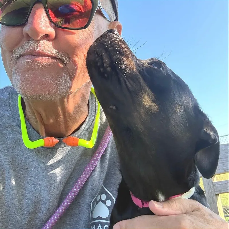 A young small-sized female Black Mixed Breed dog named Manilla for adoption in Chattanooga, TN