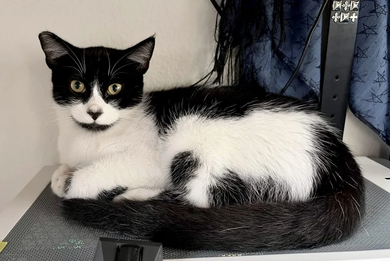 Libby thumbnail 5