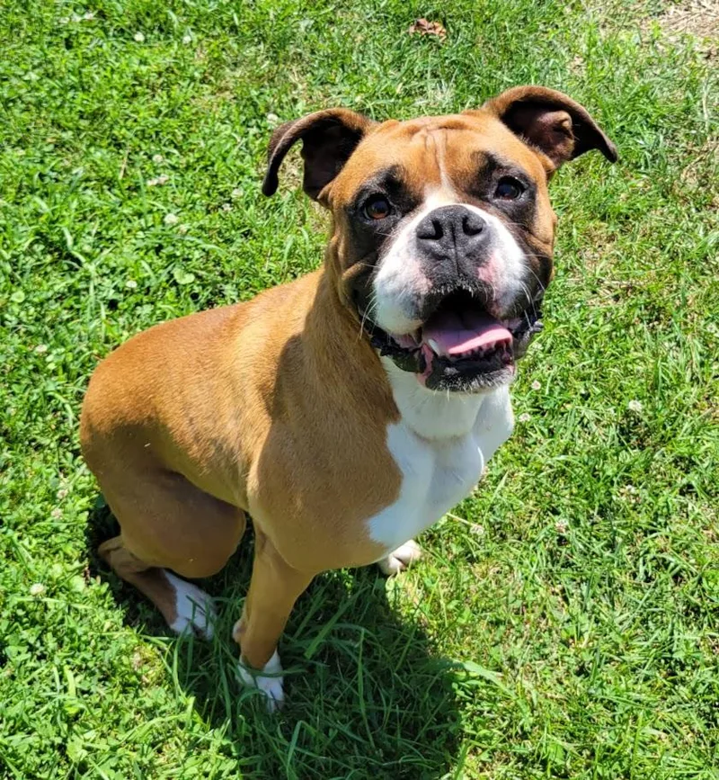 Molly