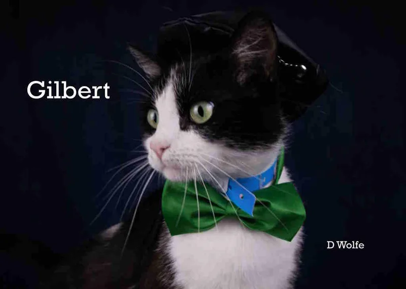 Gilbert thumbnail 2