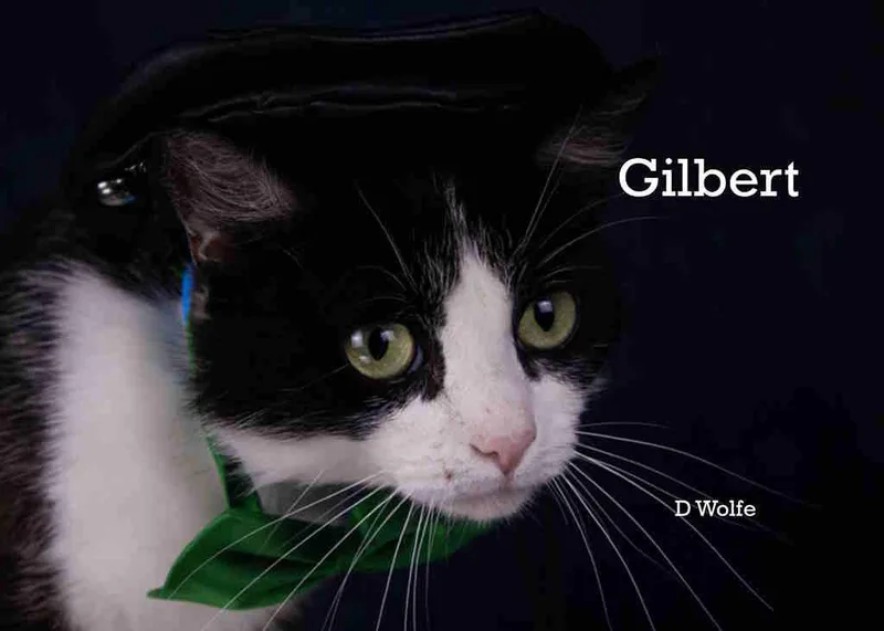 Gilbert thumbnail 3