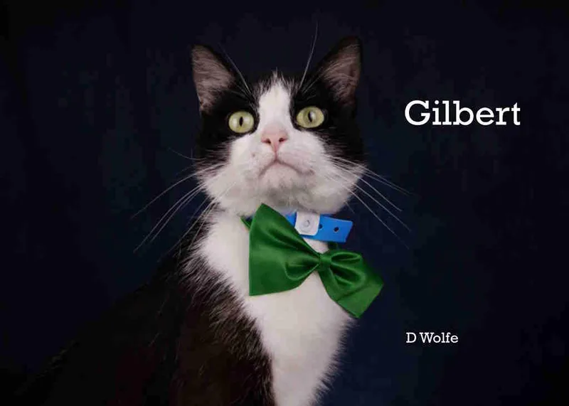 Gilbert thumbnail 4