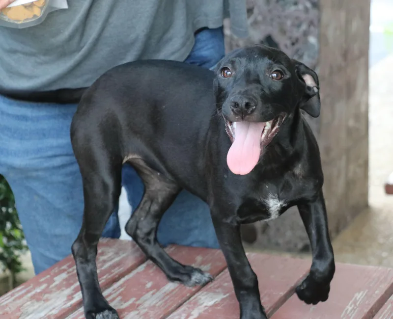 Mae Mordabito thumbnail 2