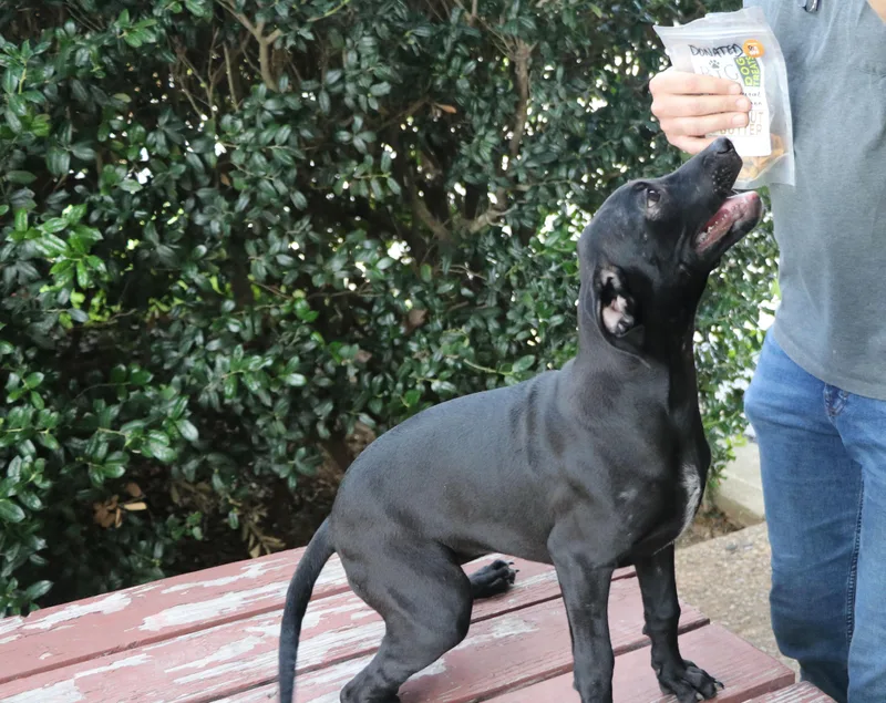 Mae Mordabito thumbnail 3