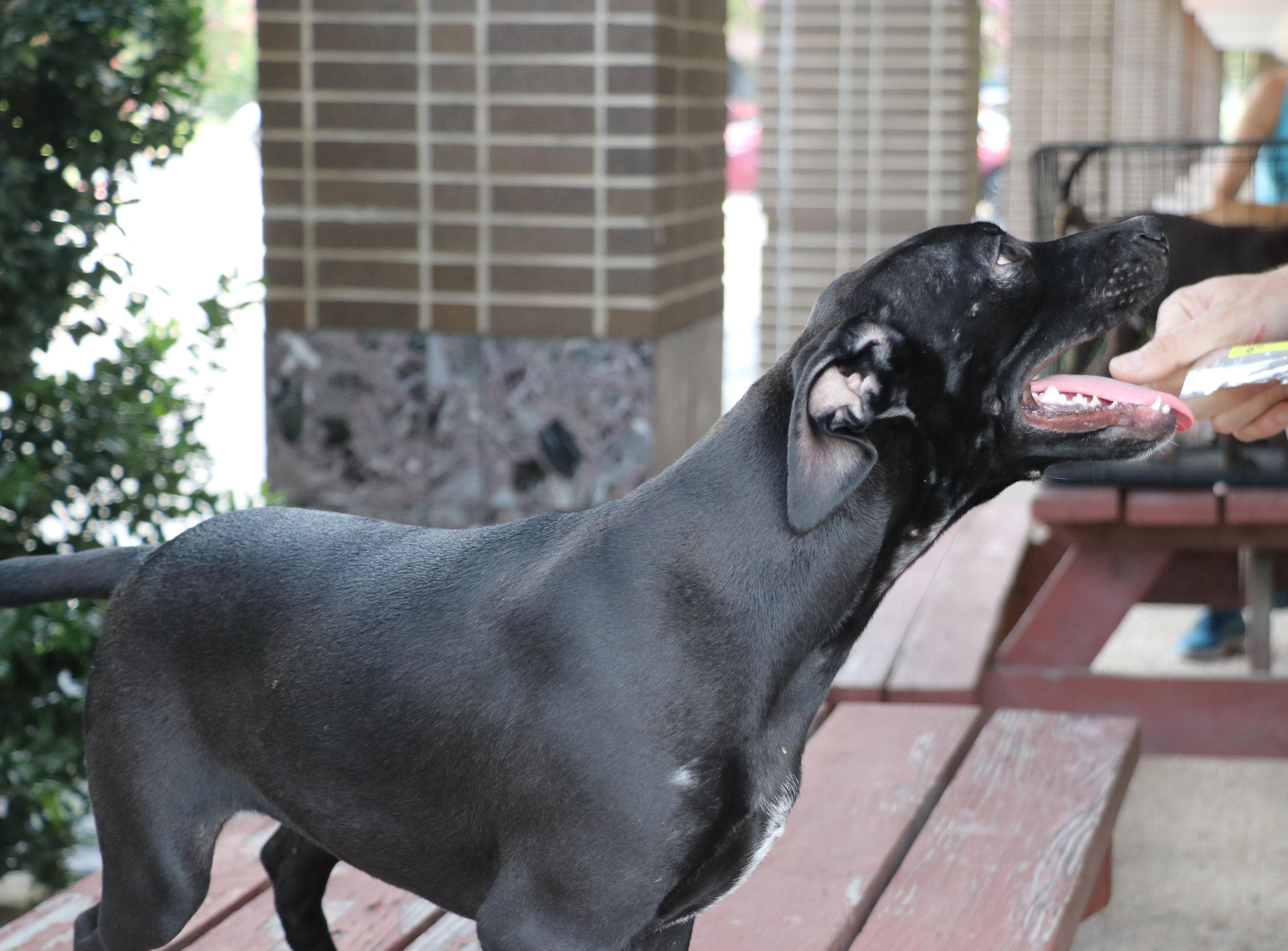 Mae Mordabito thumbnail 4