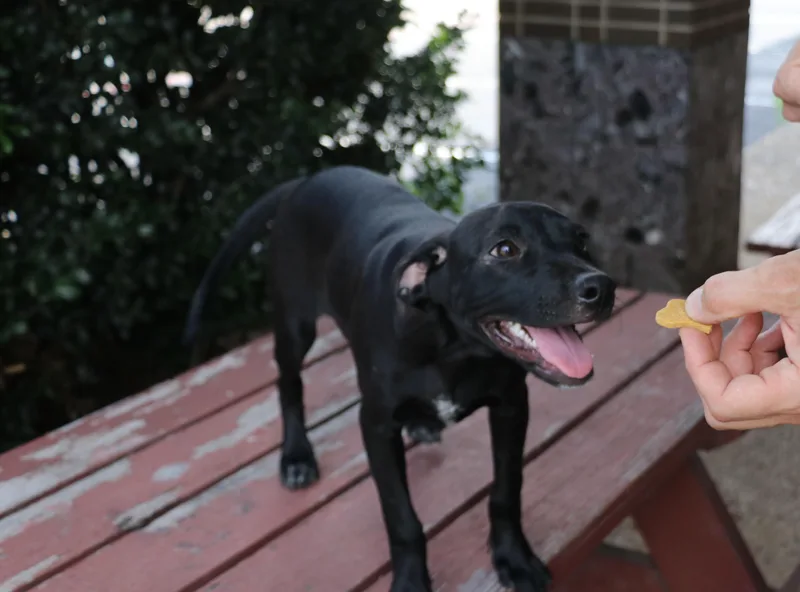 Mae Mordabito thumbnail 5