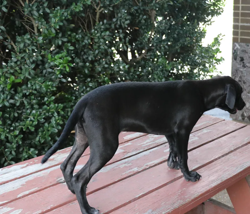 Mae Mordabito thumbnail 6