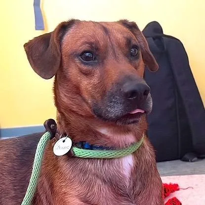 Bass Clef thumbnail 2