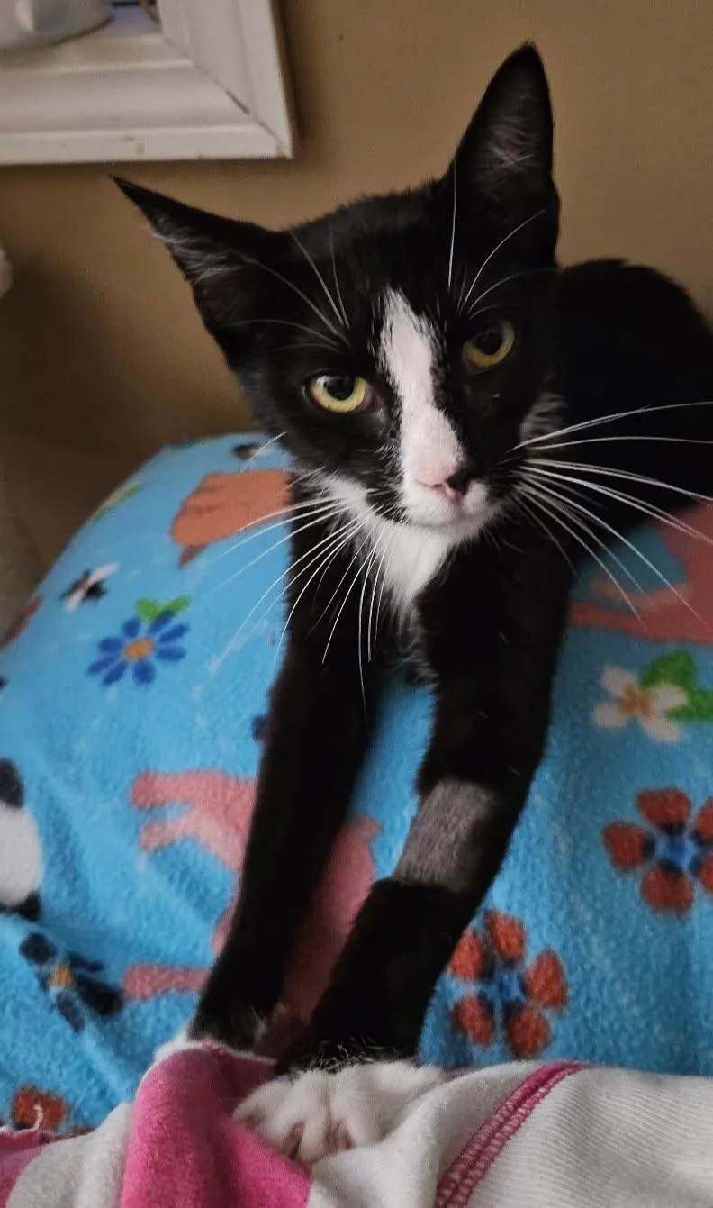 Delilah thumbnail 3