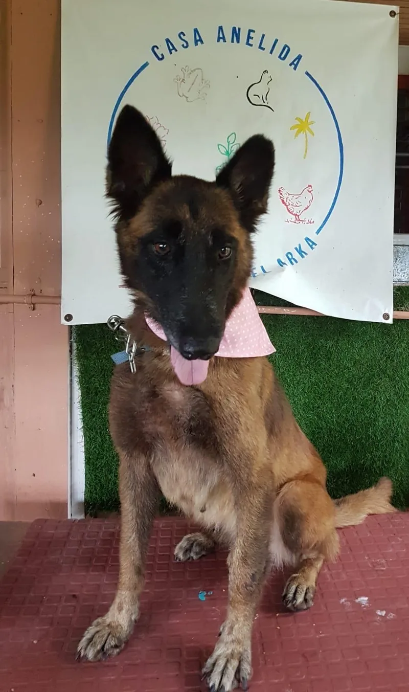 Ángel Atabey thumbnail 3