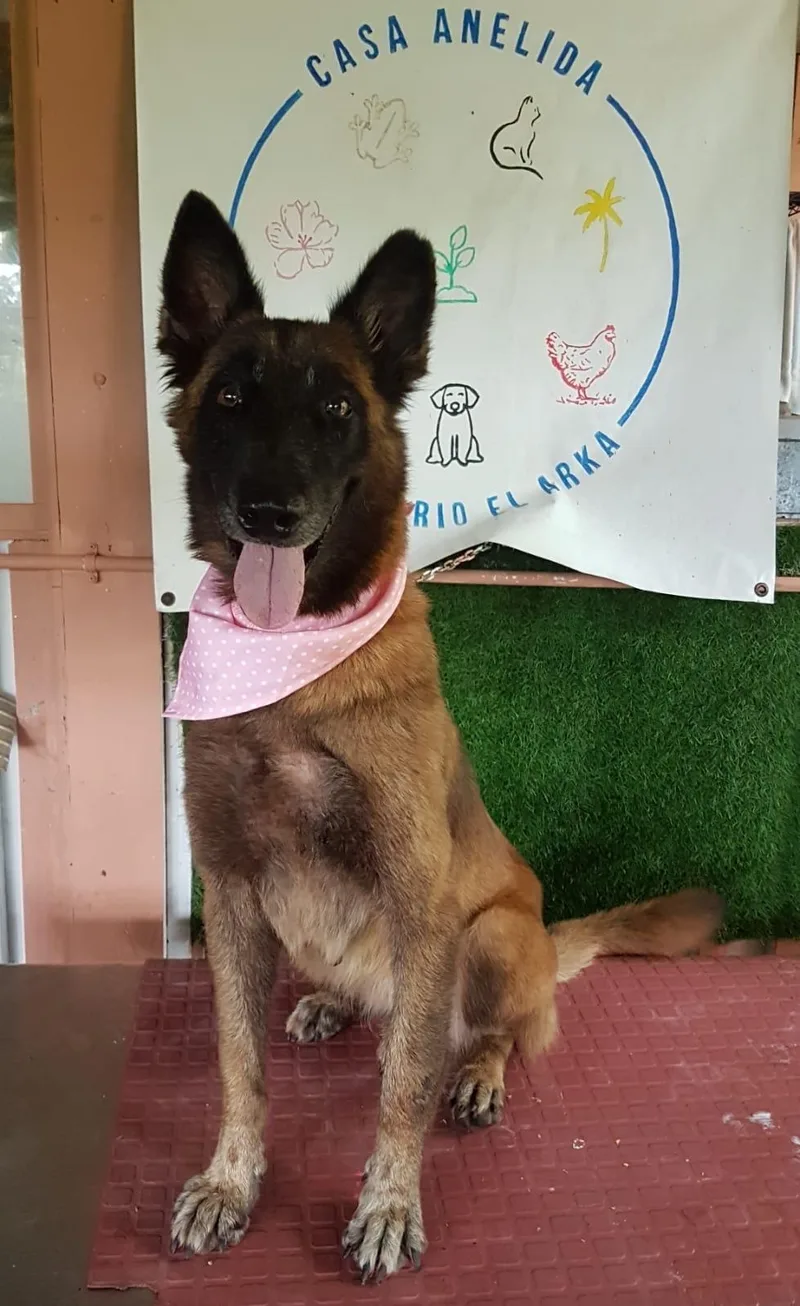 Ángel Atabey thumbnail 4