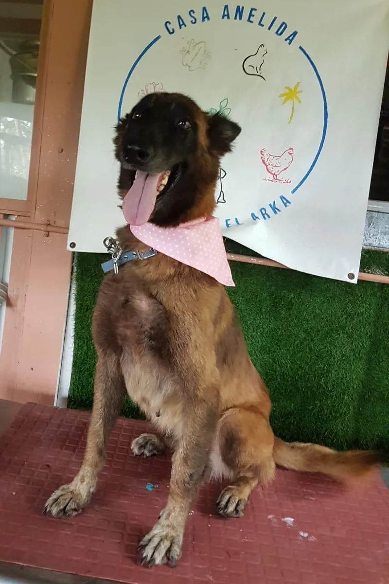 Ángel Atabey thumbnail 5