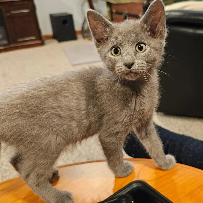 Moriarty thumbnail 2