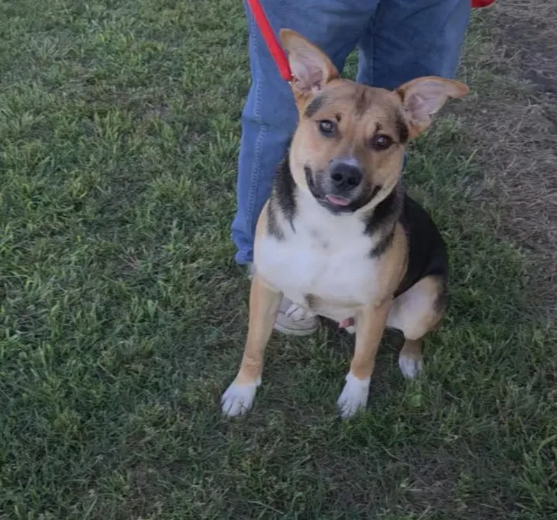 Buster thumbnail 2