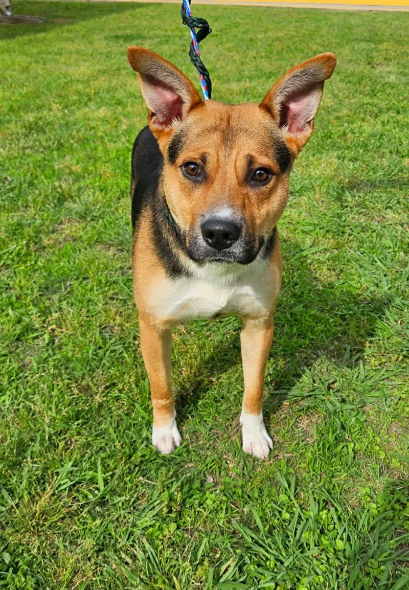 Buster thumbnail 3