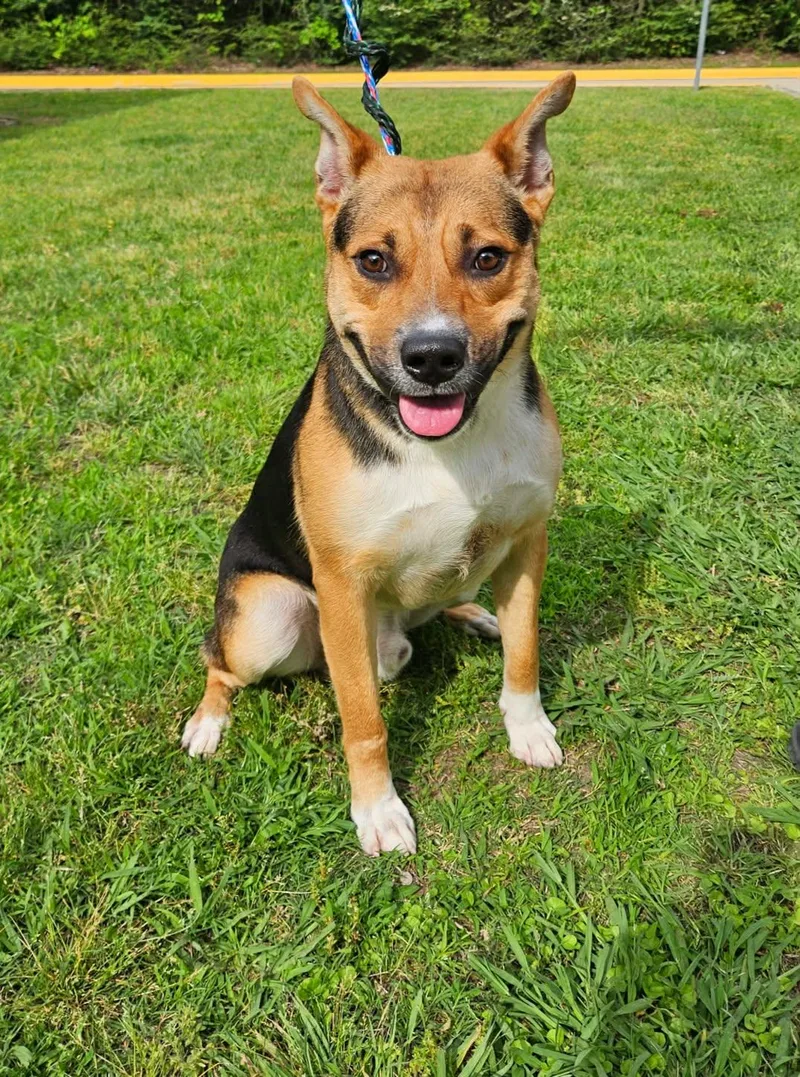Buster thumbnail 4