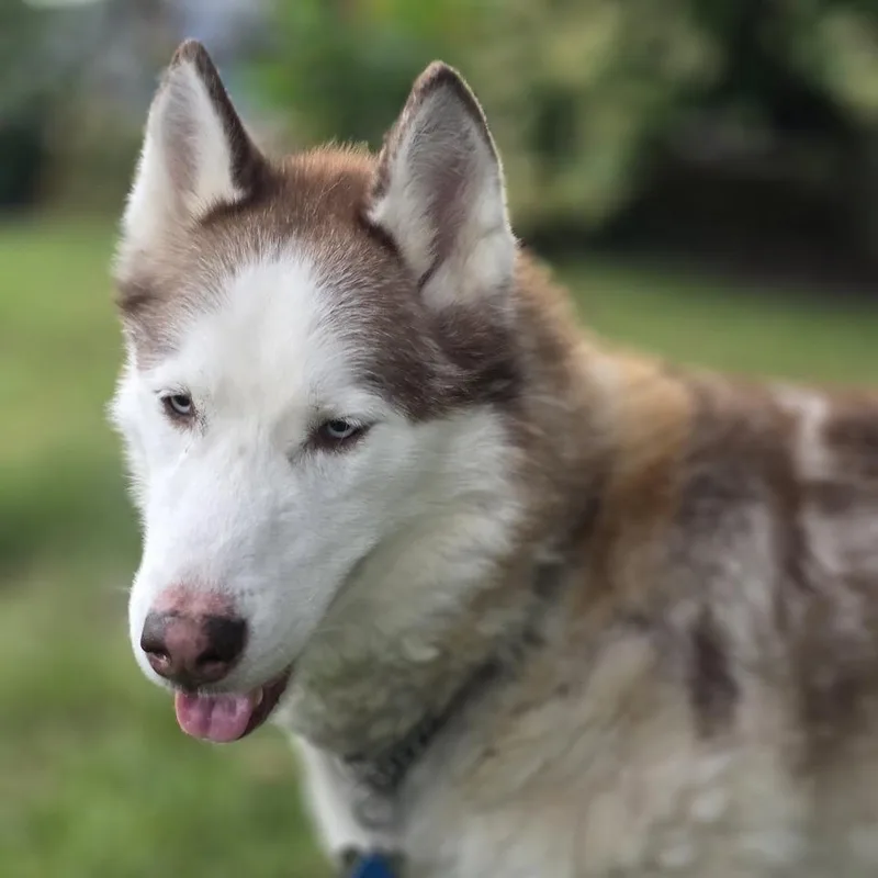 Mishka thumbnail 5