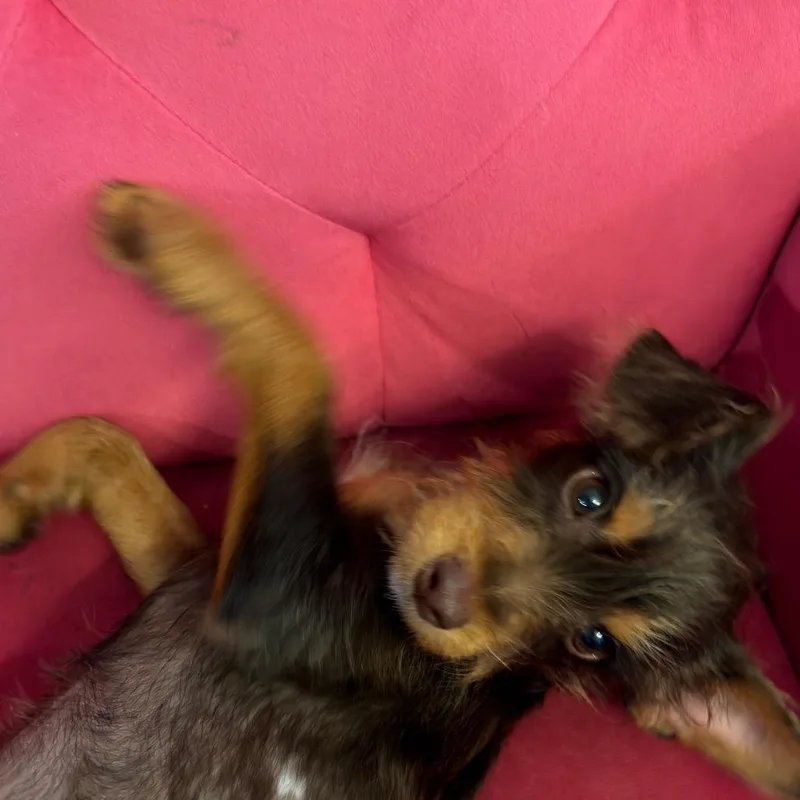 Barkely