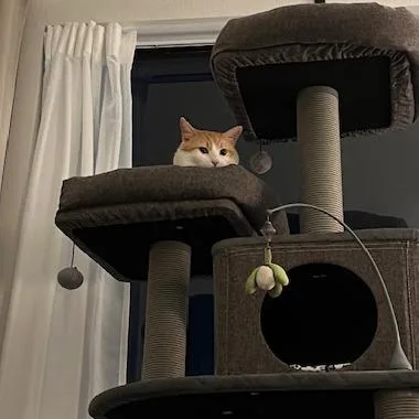 Dj Mittens thumbnail 5