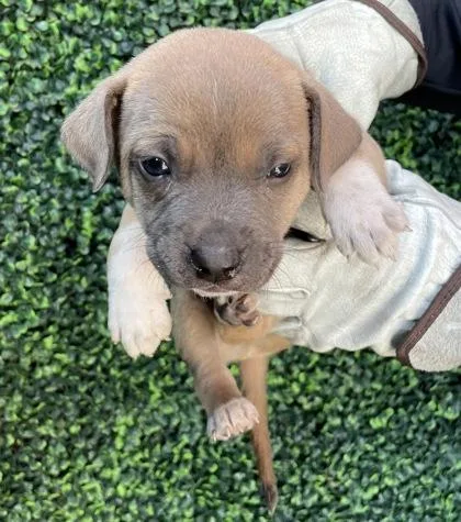 Greysean thumbnail 2