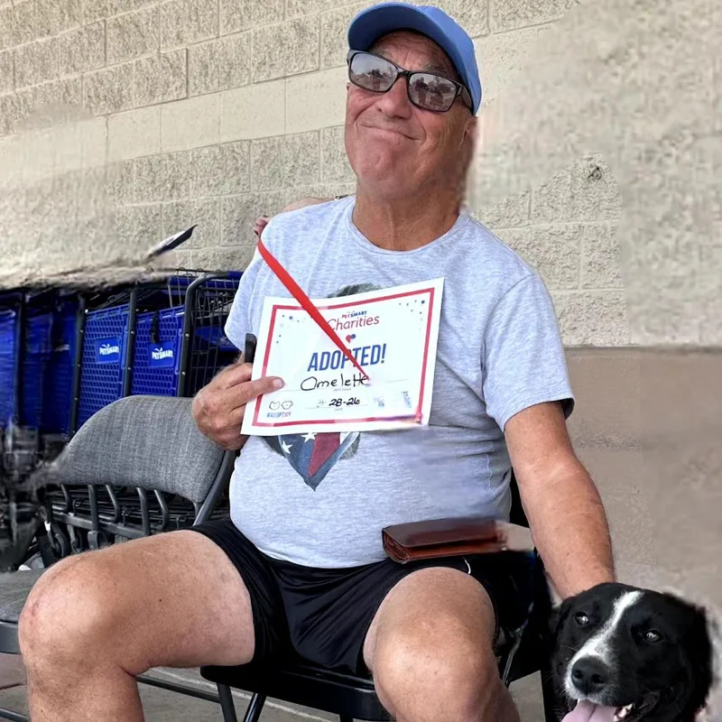 Omelette thumbnail 2