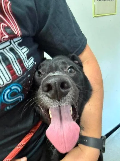 Pepper thumbnail 2