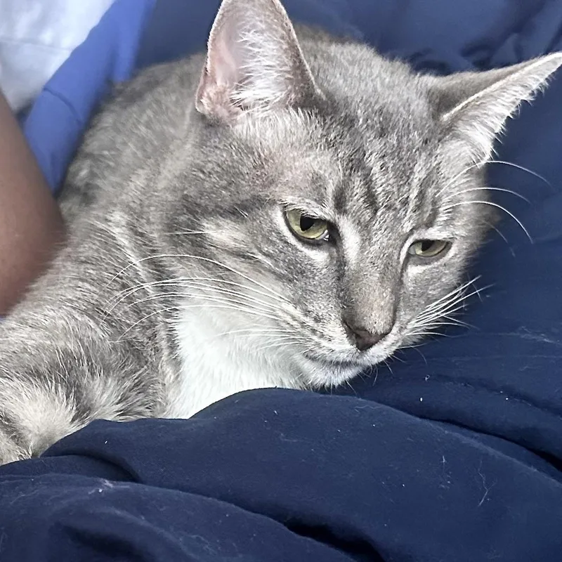 Phinn AKA Phinneas thumbnail 2