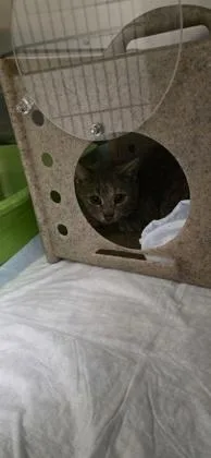 Sprinkles thumbnail 2