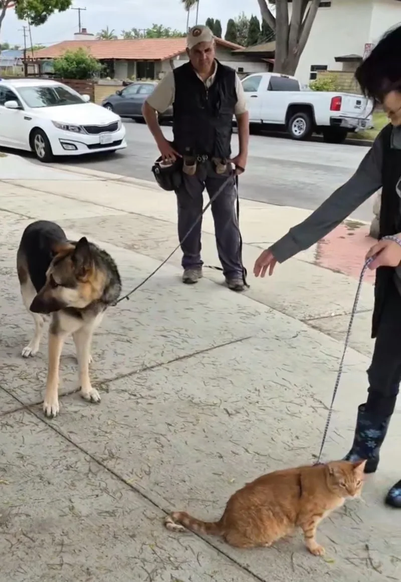 Zekey Zeek!! thumbnail 2