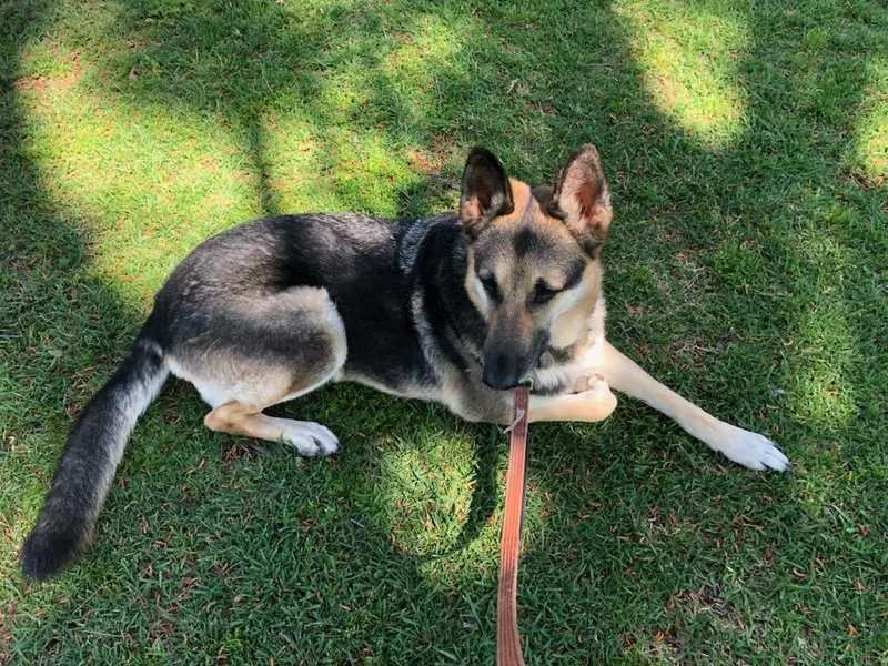 Zekey Zeek!! thumbnail 3