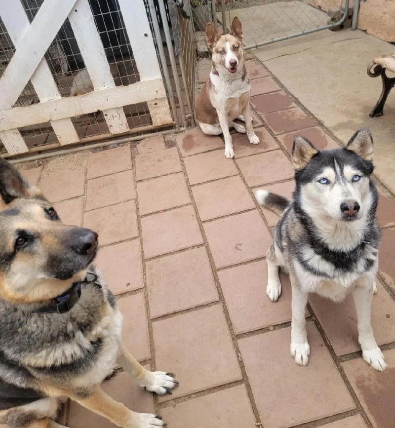 Zekey Zeek!! thumbnail 5