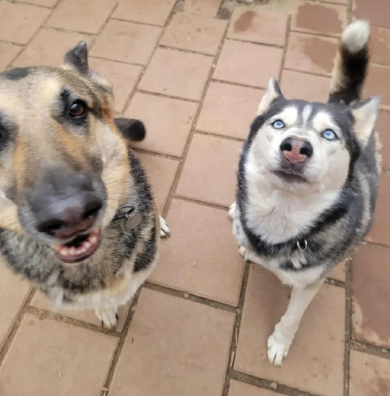 Zekey Zeek!! thumbnail 6