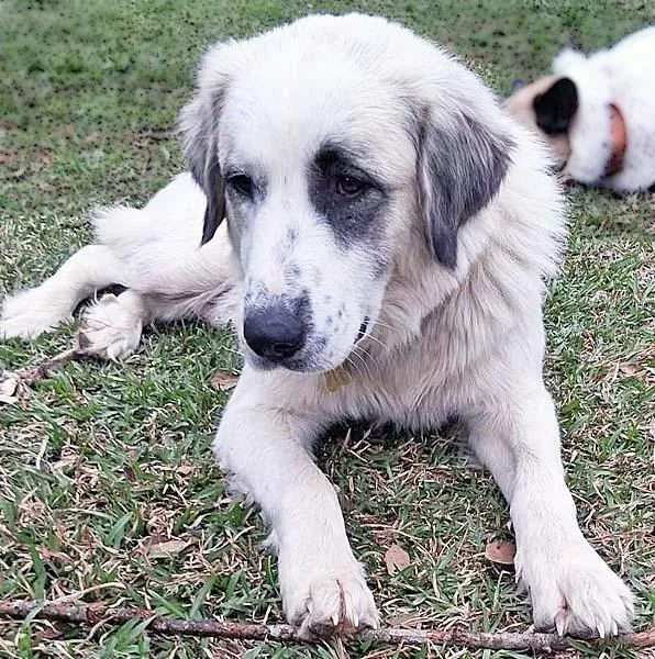 Maggie In La  thumbnail 2