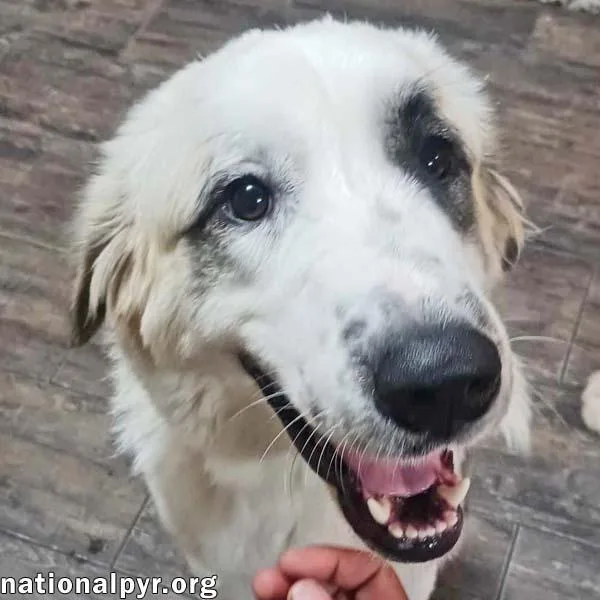 Maggie In La  thumbnail 3