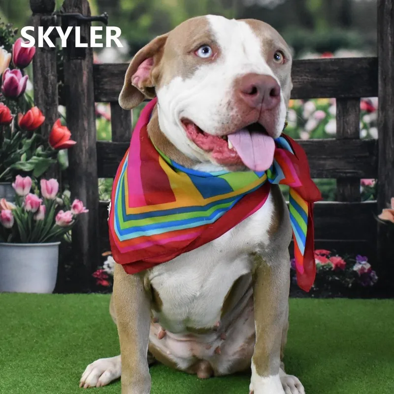 Skyler