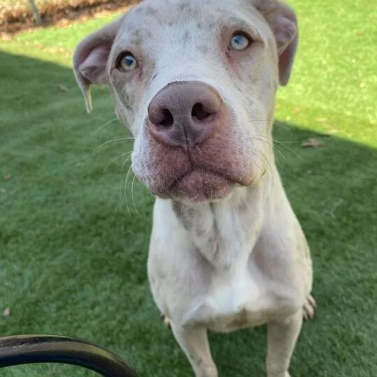 Man Blizzard thumbnail 2