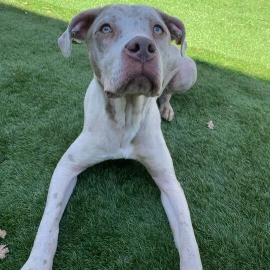 Man Blizzard thumbnail 3