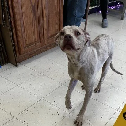 Man Blizzard thumbnail 4