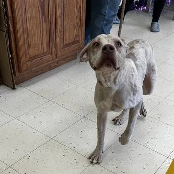 Man Blizzard thumbnail 5