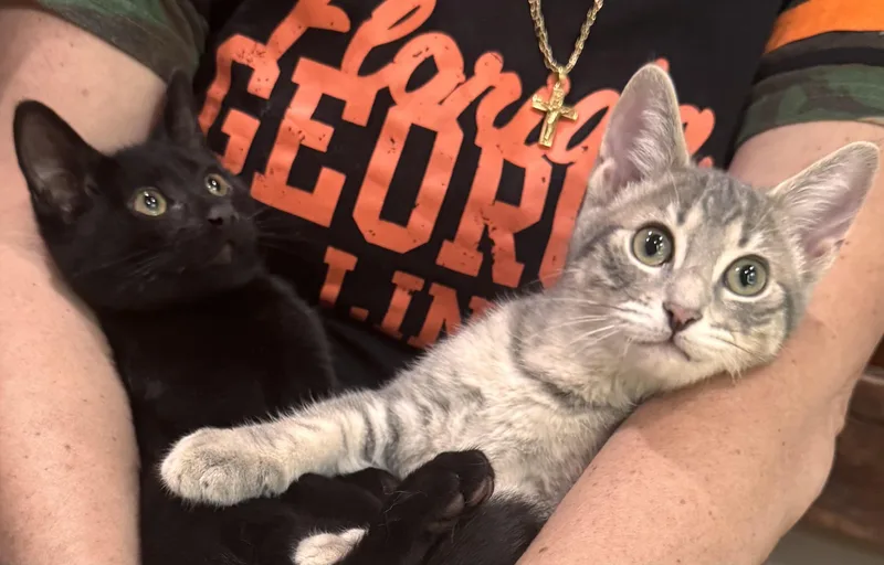 Sebastian and Brando thumbnail 5