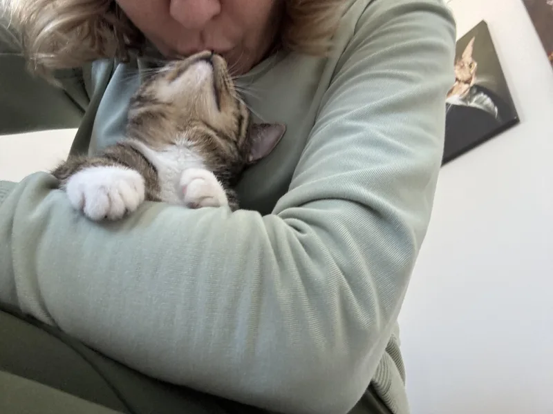 Ma Petite Tig Tig thumbnail 3