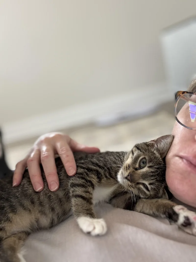 Ma Petite Tig Tig thumbnail 4