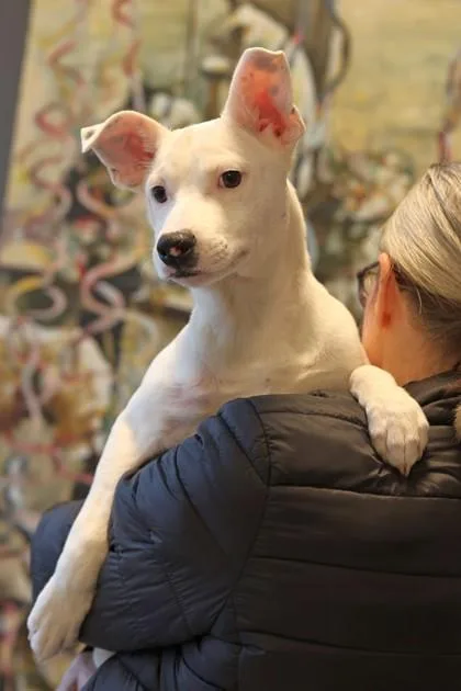 Fernando thumbnail 2