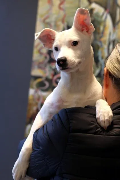 Fernando thumbnail 3