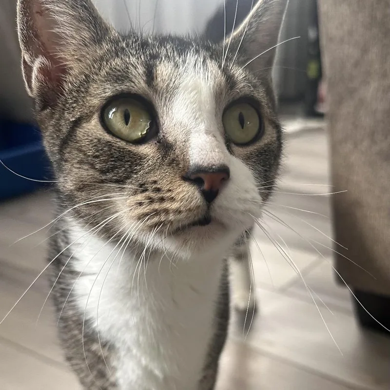 Zina