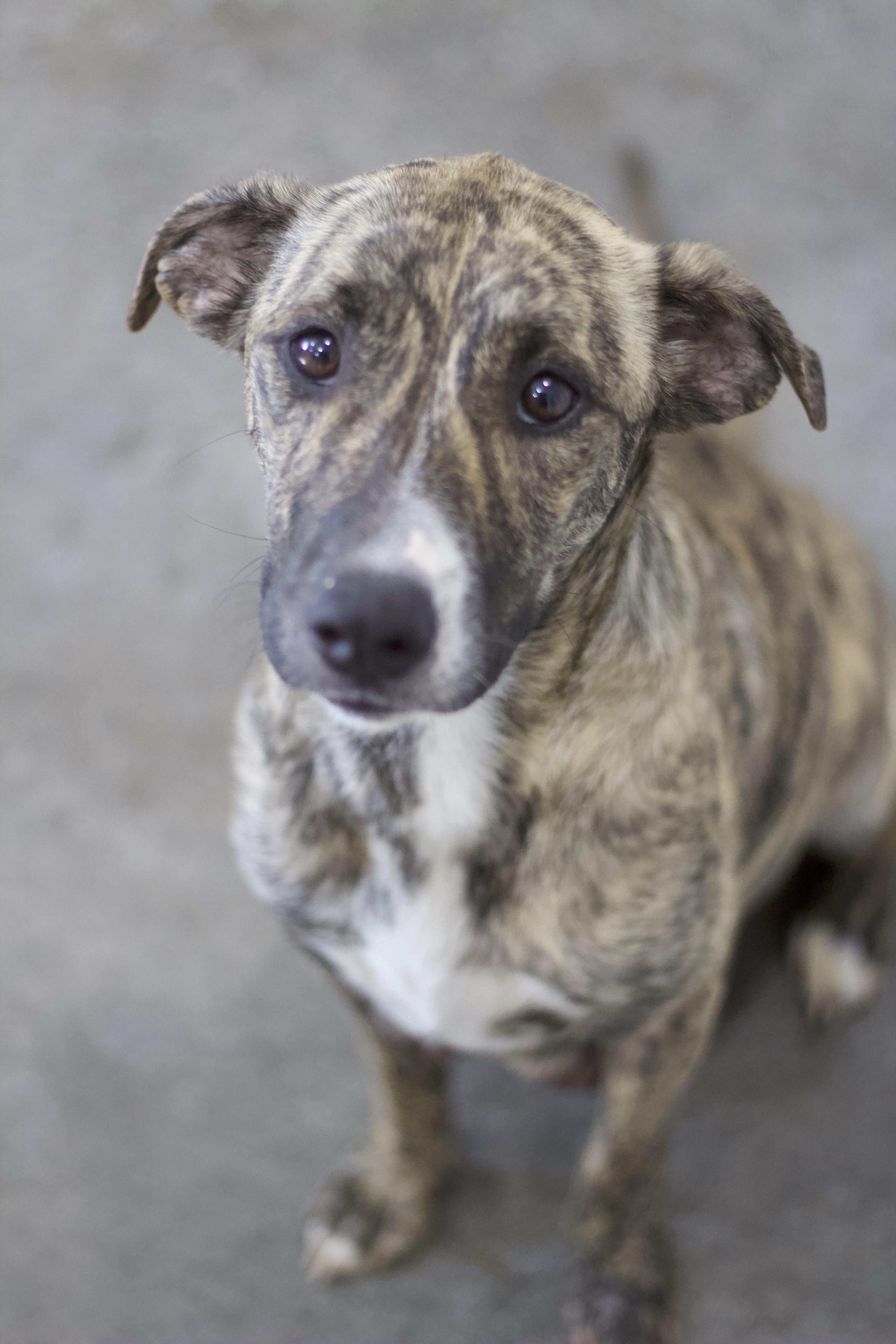 Little Debbie thumbnail 2